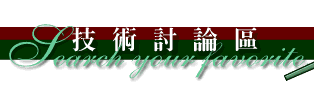 �޳N�Q�װ�