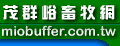 miobuffer.com.tw