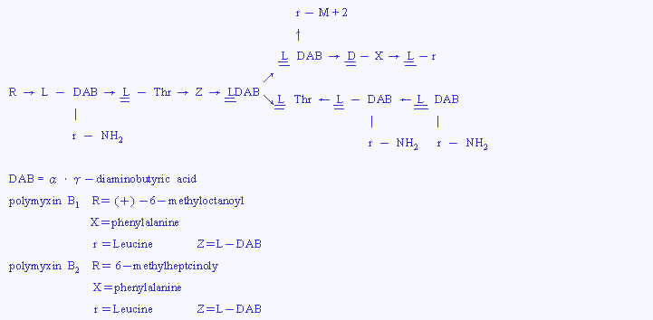 wpe2B.jpg (19634 bytes)