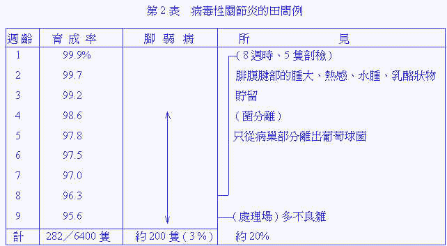 wpe2D.jpg (31683 bytes)