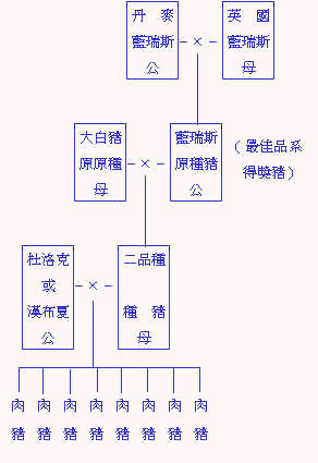 wpe38.jpg (16622 bytes)