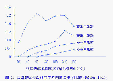 wpe37.jpg (16286 bytes)