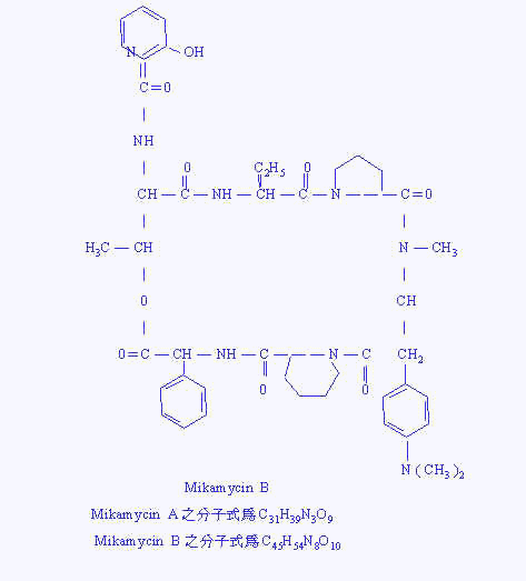 wpe3A.jpg (18830 bytes)