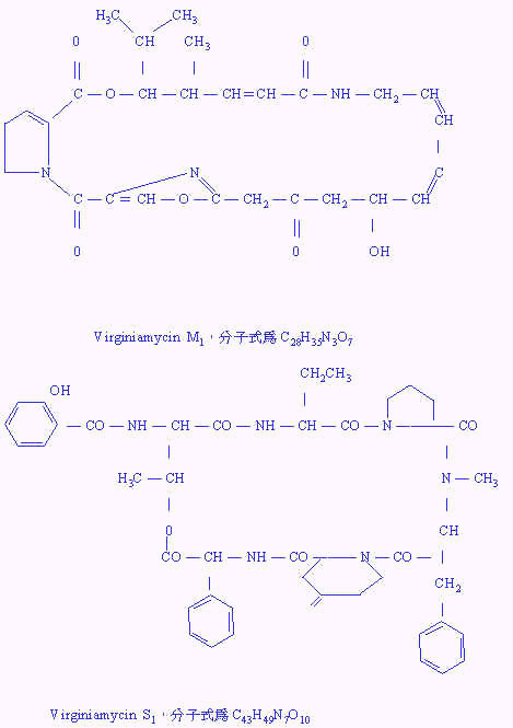 wpe3D.jpg (25608 bytes)