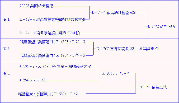 wpe35.jpg (42573 bytes)