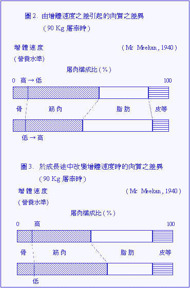 wpe3F.jpg (35636 bytes)