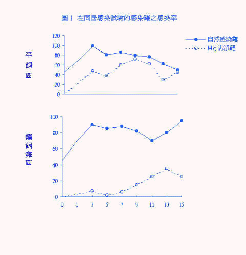 wpe46.jpg (18873 bytes)