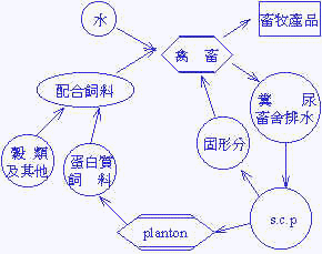 wpe49.jpg (12556 bytes)