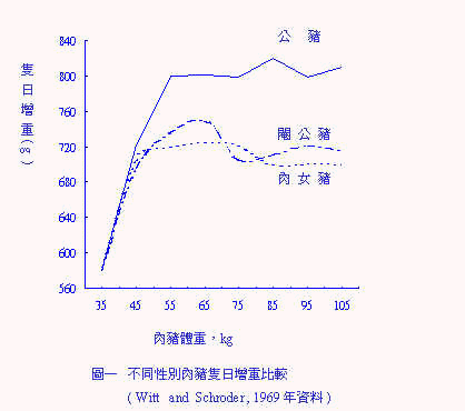 wpe53.jpg (16140 bytes)