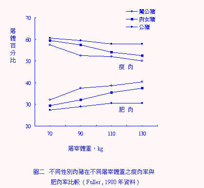 wpe50.jpg (18311 bytes)