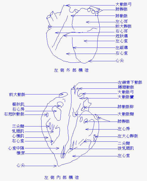 wpe59.jpg (43303 bytes)
