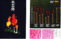 8001-7.jpg (12288 bytes)