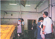 8306-4i.jpg (36092 bytes)