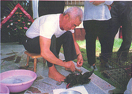 8306-5.jpg (62208 bytes)