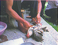 8306-5e.jpg (40354 bytes)