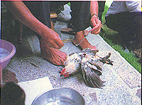 8306-5f.jpg (40699 bytes)