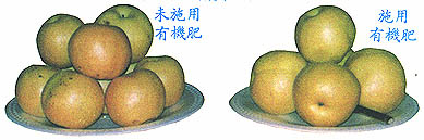 8308-1e.jpg (20518 bytes)