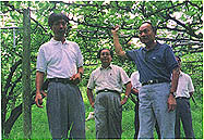 8308-1h.jpg (26146 bytes)