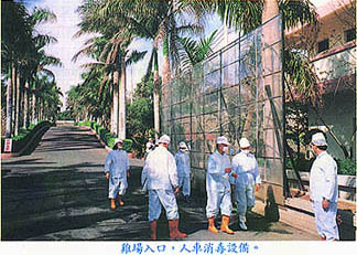 8312-2a.jpg (44245 bytes)