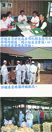 8312-2c.jpg (52193 bytes)