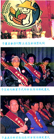 8402-1a.jpg (47081 bytes)