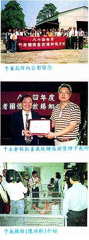 8404-2c.jpg (49330 bytes)