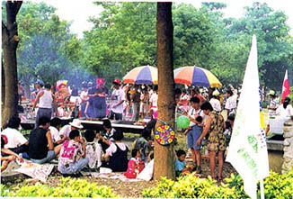 8408-2a.jpg (55621 bytes)