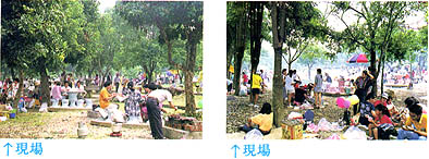 8408-2b.jpg (35377 bytes)