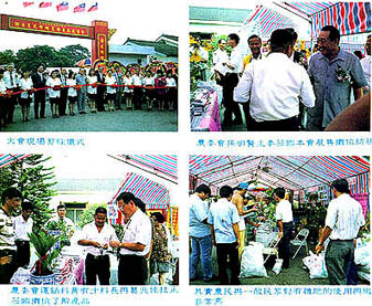 8409-4b.jpg (74758 bytes)