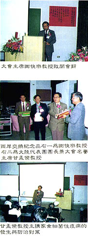 8411-3b.jpg (35388 bytes)