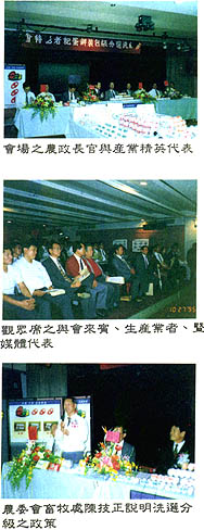 8411-4b.jpg (38494 bytes)