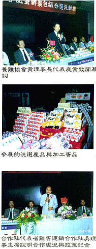 8411-4c.jpg (41506 bytes)