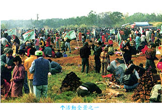 8501-6a.jpg (37480 bytes)