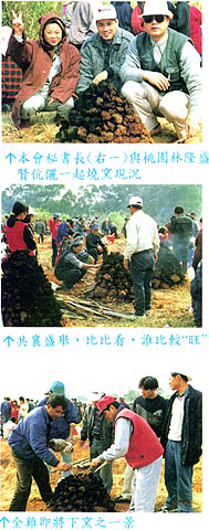 8501-6b.jpg (48164 bytes)