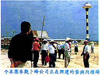 8502-4a.jpg (26189 bytes)