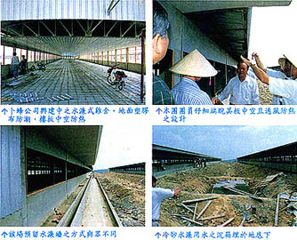 8502-4b.jpg (81844 bytes)