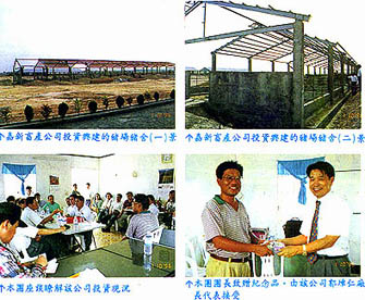 8502-5b.jpg (78783 bytes)