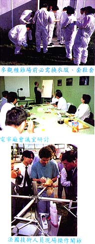 8512-2a.jpg (36710 bytes)