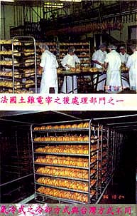 8512-2c.jpg (27271 bytes)