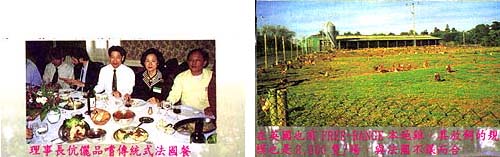 8512-2e.jpg (29371 bytes)