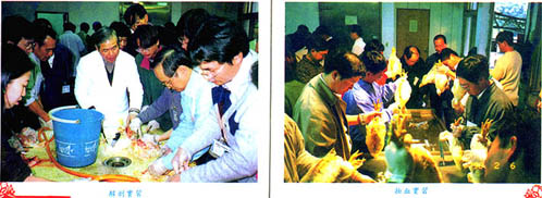 8702-2f.jpg (42106 bytes)