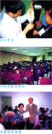 8702-2h.jpg (38091 bytes)