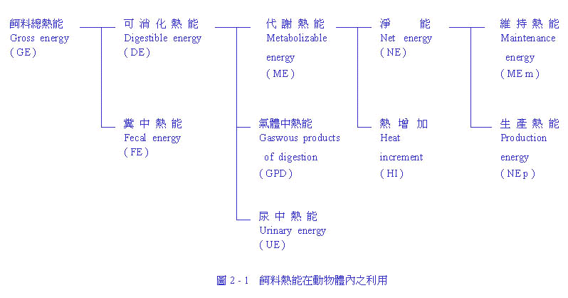 19-1.jpg (45534 bytes)