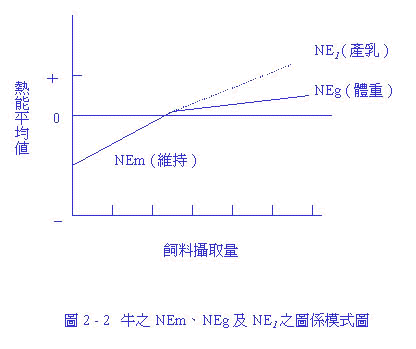 19-2.jpg (19225 bytes)
