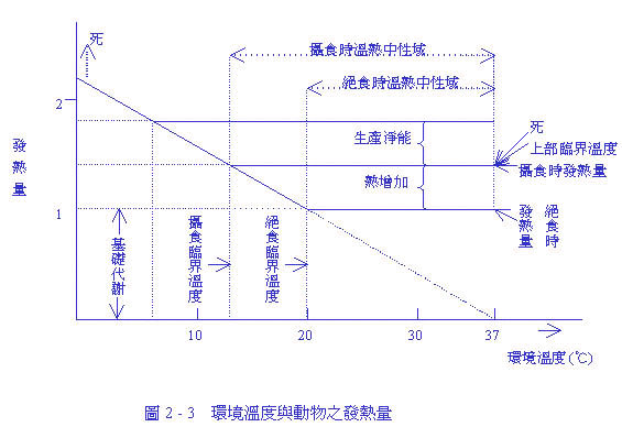 19-3.jpg (42868 bytes)