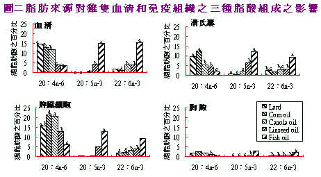 wpe6B.jpg (25230 bytes)