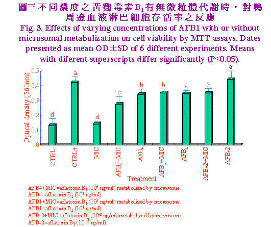 wpe97.jpg (48973 bytes)