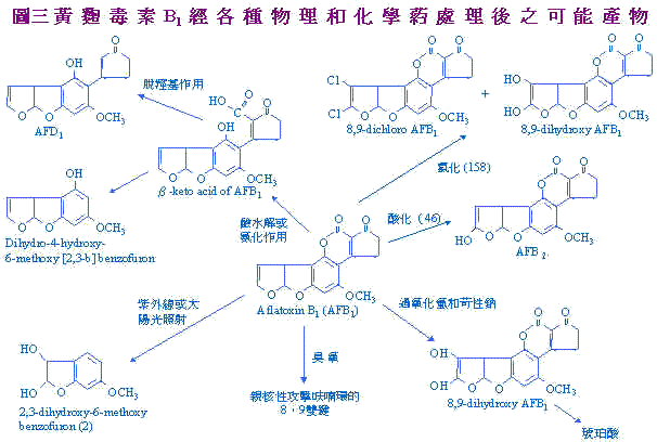 wpeBF.jpg (40334 bytes)
