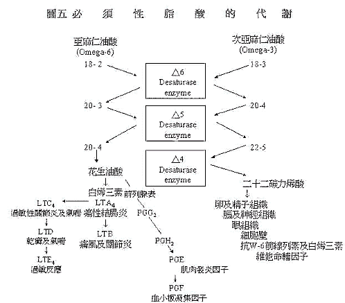 wpe7E.jpg (35901 bytes)