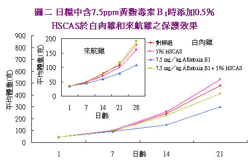 wpe88.jpg (25692 bytes)